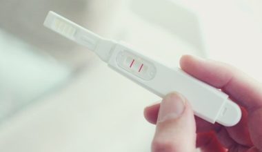 Gebelik Testi Evde Nasıl Yapılır? Gebelik Testi Nedir? Gebelik Testi Evde Nasıl Yapılır? Gebelik Testi Nedir?