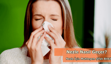 Nezle Nasıl Geçer, Nezle İçin Muhteşem Şifalı Bitkiler! Nezle Nasıl Geçer, Nezle İçin Muhteşem Şifalı Bitkiler!